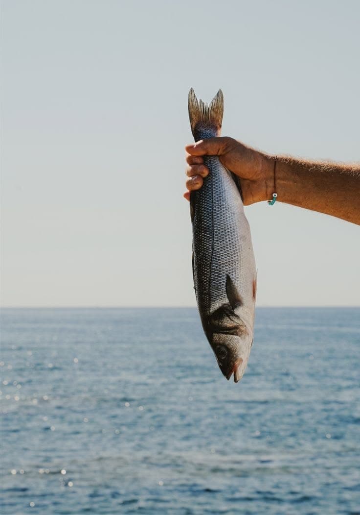 Nelayan memegang ikan segar di atas laut